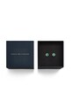 Daniel Wellington fülbevaló ezüst DW00401418