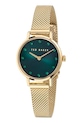 Hodinky Ted Baker TB CLASSIC CHIC zlatá BKPSTS503