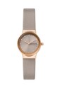 Accesorii Skagen Ceas SKW3005 aur
