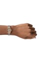 Skagen Ceas SKW3005
