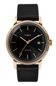 Hodinky Timex TW2T22800 zlatá TW2T22800