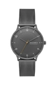 чёрный Часы Skagen Мужской