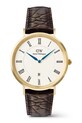 Daniel Wellington hodinky pánske zlatá DW00100912