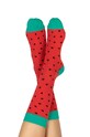 Odzież DOIY skarpetki DYSOCKSWAT multicolor