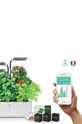 Salon i sypialnia Veritable autonomiczny ogródek domowy Connect VPOT.BAWIG.A.11 szary