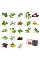 Veritable - Insertie de seminte menta VLIN.A10.Men009