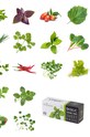Veritable - Semenná vložka Pietruszka VLIN.A10.Per002