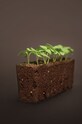 Veritable - Insertie de seminte Oregano VLIN.A10.Ori00C