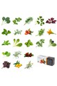 Veritable - Insertie de seminte menta VLIN.A10.Men04B