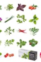 Veritable - Insertie de seminte rosii cherry rosii VLIN.L5.Tom016