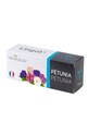 Veritable wkład nasienny Petunia multicolor VLIN.F5.Pet02A