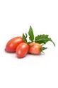 Veritable - Náplň so semienkami Ružové cherry paradajky viacfarebná