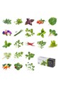 Veritable - Insertie de seminte rosii cherry roz VLIN.L5.Tom052