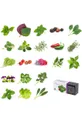 Veritable - Ένα σετ δώρου για την καλλιέργεια φυτών