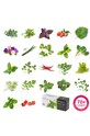 Veritable - Knôty do samozavlažovacích kvetináčov (8-pak) V.REC.KIT8MECH.1