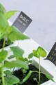 Veritable knoty nawadniające do doniczek (8-pack) V.REC.KIT8MECH.1