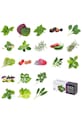 Veritable knoty nawadniające do doniczek (8-pack) V.REC.KIT8MECH.1