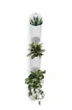Umbra - Подставка под цветы на стену