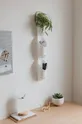 Umbra - Подставка под цветы на стену