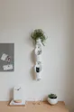 Umbra cvetlični lonec za na steno