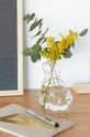 Balvi - Dekoratívna váza  Sklo