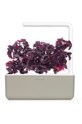 Living și dormitor Click & Grow Gradina de casa autonoma Smart Garden 3 SG3BG bej