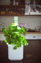 Click & Grow Gradina de casa autonoma Smart Garden 3 SG3BG