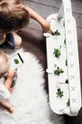 Click & Grow Inteligentný kvetináč Smart Garden 9
