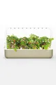бежевый Click & Grow Автономный домашний сад Smart Garden 9 Unisex