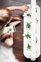 Click & Grow Inteligentný kvetináč Smart Garden 9