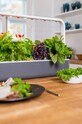 Living și dormitor Click & Grow Gradina de casa autonoma Smart Garden 9 SG9GY gri