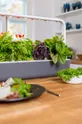 Click & Grow autonomiczny ogródek domowy Smart Garden 9 Tworzywo sztuczne