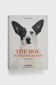 Книга Taschen GmbH многоцветен 9783836567473