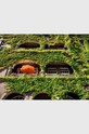 Книга QeeBoo Urban Oasis : Parks and Green Projects around the World, Jessica Jungbauer, English TE1174 барвистий AA00