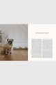 Knjiga DOG - Stories of Dog Ownership by Julian Victoria, English HG1130