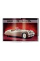 Книга The Jaguar Book by René Staud, English барвистий TE1144
