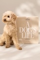 Фотоальбом Printworks A Dog’s Life PW00621