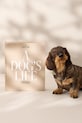 Фотоальбом Printworks A Dog’s Life PW00621