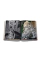Knjiga Assouline Milan Chic by Massimo Nava, English 9781649801111