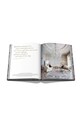 Kniha Assouline Venetian Chic by Francesca Bortolotto Possati, English 9781614285380