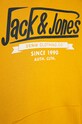 Chłopiec Jack & Jones - Bluza dziecięca 152-176 cm 12173883 zielony
