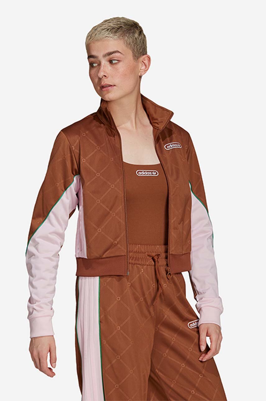 brązowy adidas Originals bluza Damski