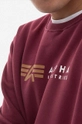 Alpha Industries sweatshirt Men’s