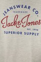 Chlapec Jack & Jones - Detské tričko s dlhým rukávom 128-176 cm 12154561 sivá
