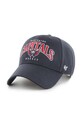47 brand sapca NHL Washington Capitals altele bleumarin H.BRDFL20CTP.NY