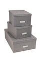 Bigso Box of Sweden set de cutii de depozitare Inge (3-pack) 811354141 gri AA00