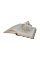 Lifestyle greutate de hârtie WER.9868 multicolor