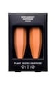 Gentelmen's Hardware recipient de irigare pentru plante (2-pack) GEN654UK multicolor AA00