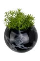 Present Time vaso per i fiori da parete nero