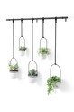 Umbra Набір настінних горщиків (5-pack) 1018086.660 білий AA00